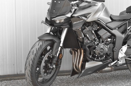 SABOT HONDA HORNET 1000 (25)