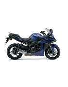 GSX-S 1000 GT