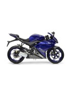 YZF R125 (08-17)