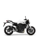 FZ1S