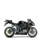 DAYTONA 675