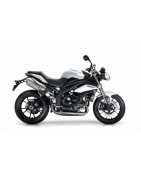 SPEED TRIPLE 1050 (11-15)