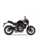 CB650R (19-20)