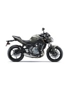 Z650