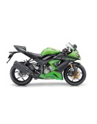 ZX6R / ZX6R (636)