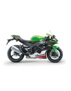 ZX10R (21-23)