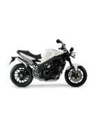 SPEED TRIPLE 1050 (04-10)