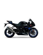 GSX-R1000 (17-23)