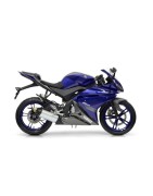 YZF R125