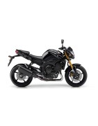 FZ8
