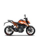 DUKE 125/390