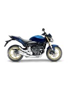 HORNET 600