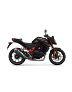 HORNET 750