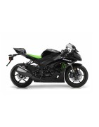ZX6R / ZX6R (636)