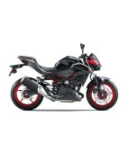Z500