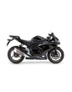 GSX-R 750 (08-10)