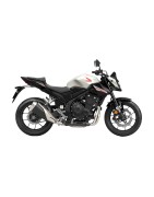 HORNET 500