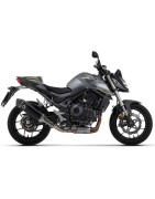 HORNET 750