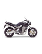 HORNET 900