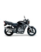 ER 500