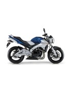 GSR 600