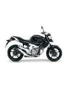GLADIUS 650