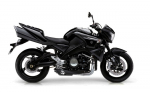 GSX1340 B-King (08-12)