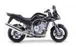 FZS1000 Fazer (01-05)