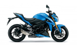 GSX-S1000S (15-21)